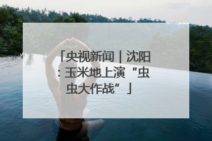 央视新闻｜沈阳：玉米地上演“虫虫大作战”