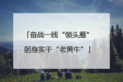 奋战一线“领头雁” 躬身实干“老黄牛”