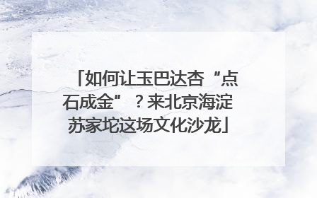 如何让玉巴达杏“点石成金”？来北京海淀苏家坨这场文化沙龙