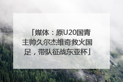 媒体：原U20国青主帅久尔杰维奇救火国足，带队征战东亚杯