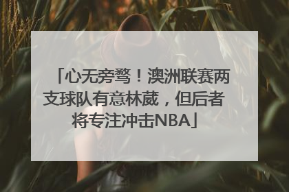 心无旁骛！澳洲联赛两支球队有意林葳，但后者将专注冲击NBA