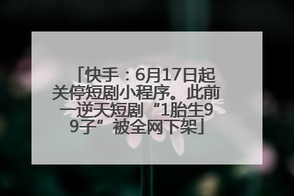 快手：6月17日起关停短剧小程序。此前一逆天短剧“1胎生99子”被全网下架