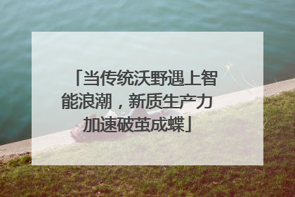 当传统沃野遇上智能浪潮，新质生产力加速破茧成蝶