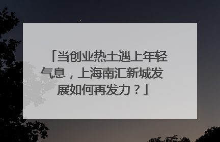 当创业热土遇上年轻气息，上海南汇新城发展如何再发力？