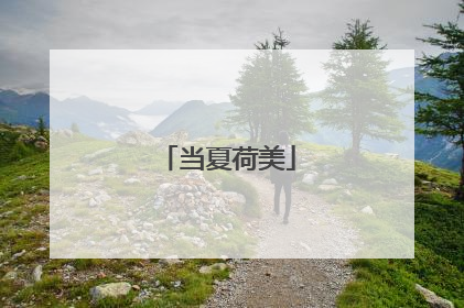 当夏荷美