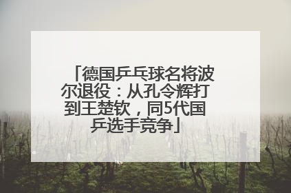 德国乒乓球名将波尔退役：从孔令辉打到王楚钦，同5代国乒选手竞争