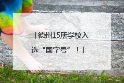 德州15所学校入选“国字号”！