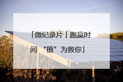 微纪录片丨跑赢时间 “植”为救你