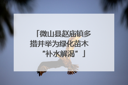 微山县赵庙镇多措并举为绿化苗木“补水解渴”