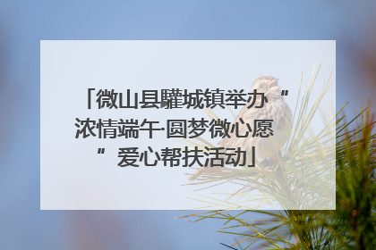 微山县驩城镇举办“浓情端午·圆梦微心愿”爱心帮扶活动