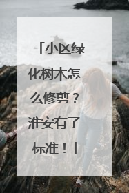 小区绿化树木怎么修剪？淮安有了标准！