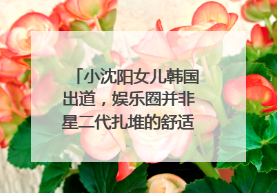 小沈阳女儿韩国出道，娱乐圈并非星二代扎堆的舒适区｜文艺评论