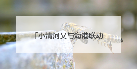 小清河又与海港联动，山东首条化工品“公路-内河-海运”多式联运通道开通