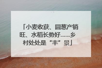 小麦收获、圆葱产销旺、水稻长势好……乡村处处是“丰”景