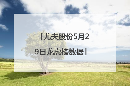 尤夫股份5月29日龙虎榜数据
