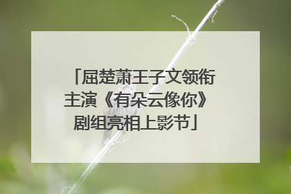 屈楚萧王子文领衔主演《有朵云像你》剧组亮相上影节