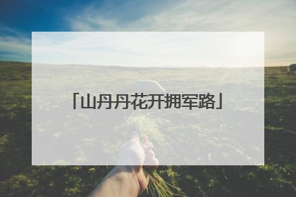 山丹丹花开拥军路