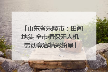 山东省乐陵市：田间地头 全市植保无人机劳动竞赛精彩纷呈