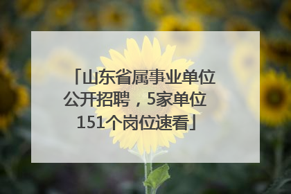 山东省属事业单位公开招聘，5家单位151个岗位速看