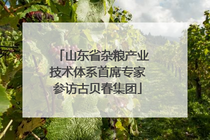 山东省杂粮产业技术体系首席专家参访古贝春集团