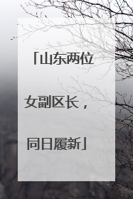 山东两位女副区长，同日履新
