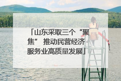 山东采取三个“聚焦” 推动民营经济服务业高质量发展