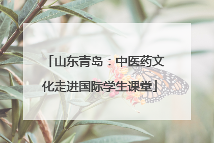 山东青岛：中医药文化走进国际学生课堂