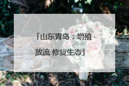 山东青岛：增殖放流 修复生态