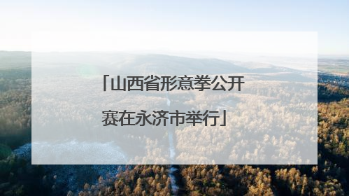 山西省形意拳公开赛在永济市举行