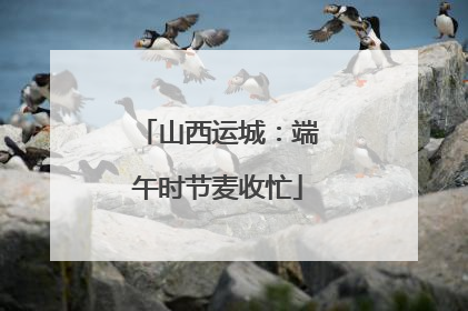 山西运城：端午时节麦收忙