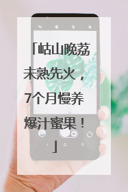 岵山晚荔未熟先火，7个月慢养爆汁蜜果！