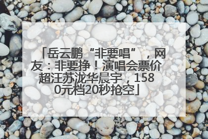 岳云鹏“非要唱”，网友：非要挣！演唱会票价超汪苏泷华晨宇，1580元档20秒抢空
