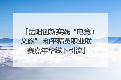 岳阳创新实践“电竞+文旅” 和平精英职业联赛嘉年华线下引流