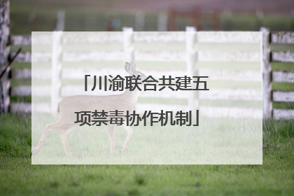 川渝联合共建五项禁毒协作机制
