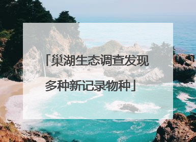 巢湖生态调查发现多种新记录物种
