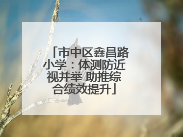市中区鑫昌路小学：体测防近视并举 助推综合绩效提升