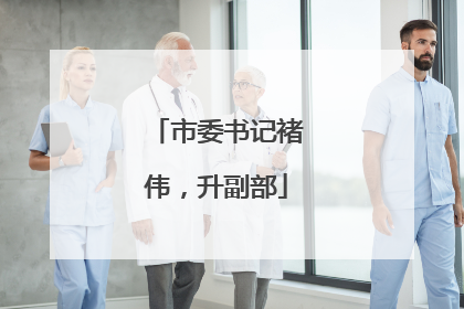 市委书记褚伟，升副部