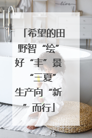 希望的田野智“绘”好“丰”景 “三夏”生产向“新”而行