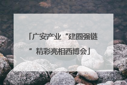 广安产业“建圈强链”精彩亮相西博会