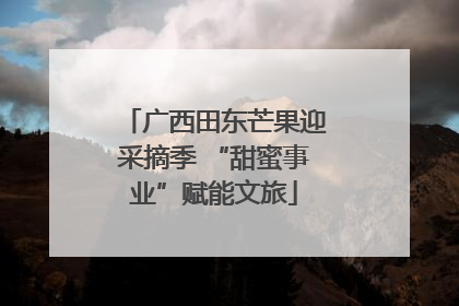 广西田东芒果迎采摘季 “甜蜜事业”赋能文旅
