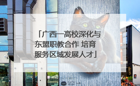 广西一高校深化与东盟职教合作 培育服务区域发展人才