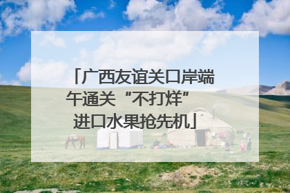 广西友谊关口岸端午通关“不打烊” 进口水果抢先机