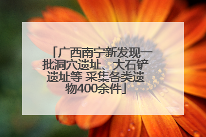 广西南宁新发现一批洞穴遗址、大石铲遗址等 采集各类遗物400余件