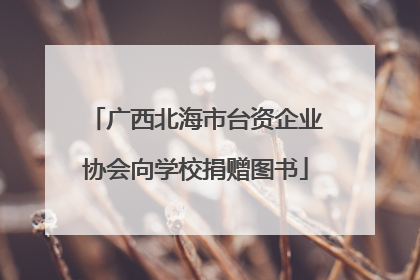 广西北海市台资企业协会向学校捐赠图书