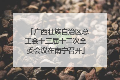 广西壮族自治区总工会十三届十二次全委会议在南宁召开