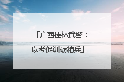 广西桂林武警：以考促训砺精兵