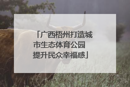 广西梧州打造城市生态体育公园 提升民众幸福感