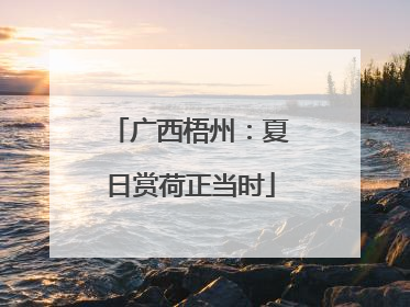 广西梧州：夏日赏荷正当时