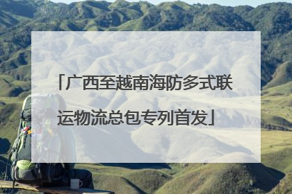 广西至越南海防多式联运物流总包专列首发