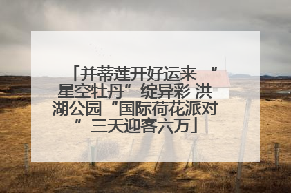 并蒂莲开好运来 “星空牡丹”绽异彩 洪湖公园“国际荷花派对”三天迎客六万